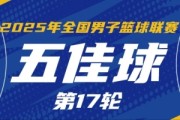 体育赛事-NBL常规赛第17轮五佳球：克罗斯举火烧天 石家庄翔蓝精妙空接连线